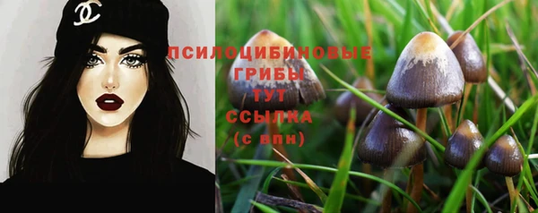 PSILOCYBIN Дмитровск