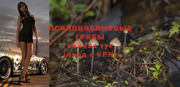 соль курить ск Елабуга
