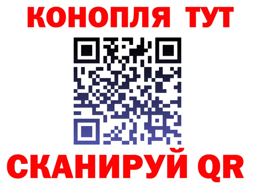 ГАШ Изолятор как зайти это KRAKEN Выборг