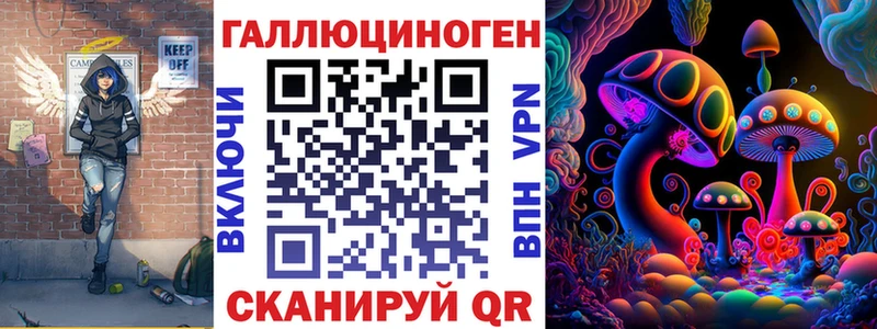 Купить где Выборг Галлюциногенные грибы Cubensis